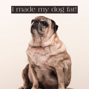 I made my dog fat