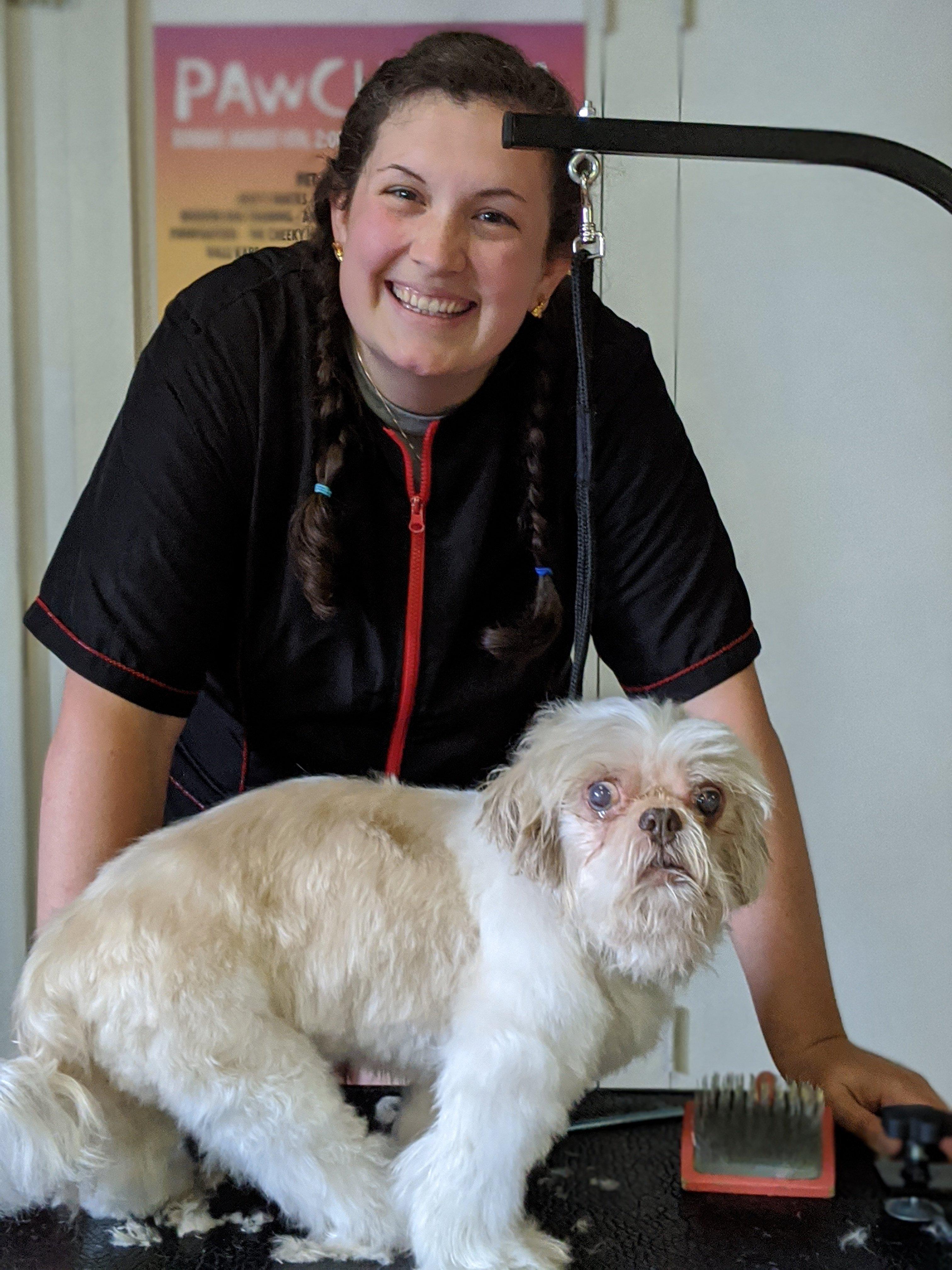 What to look for in a Senior Dog Groomer