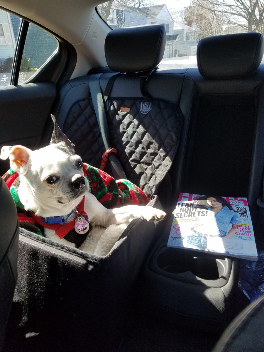 Car Accessories