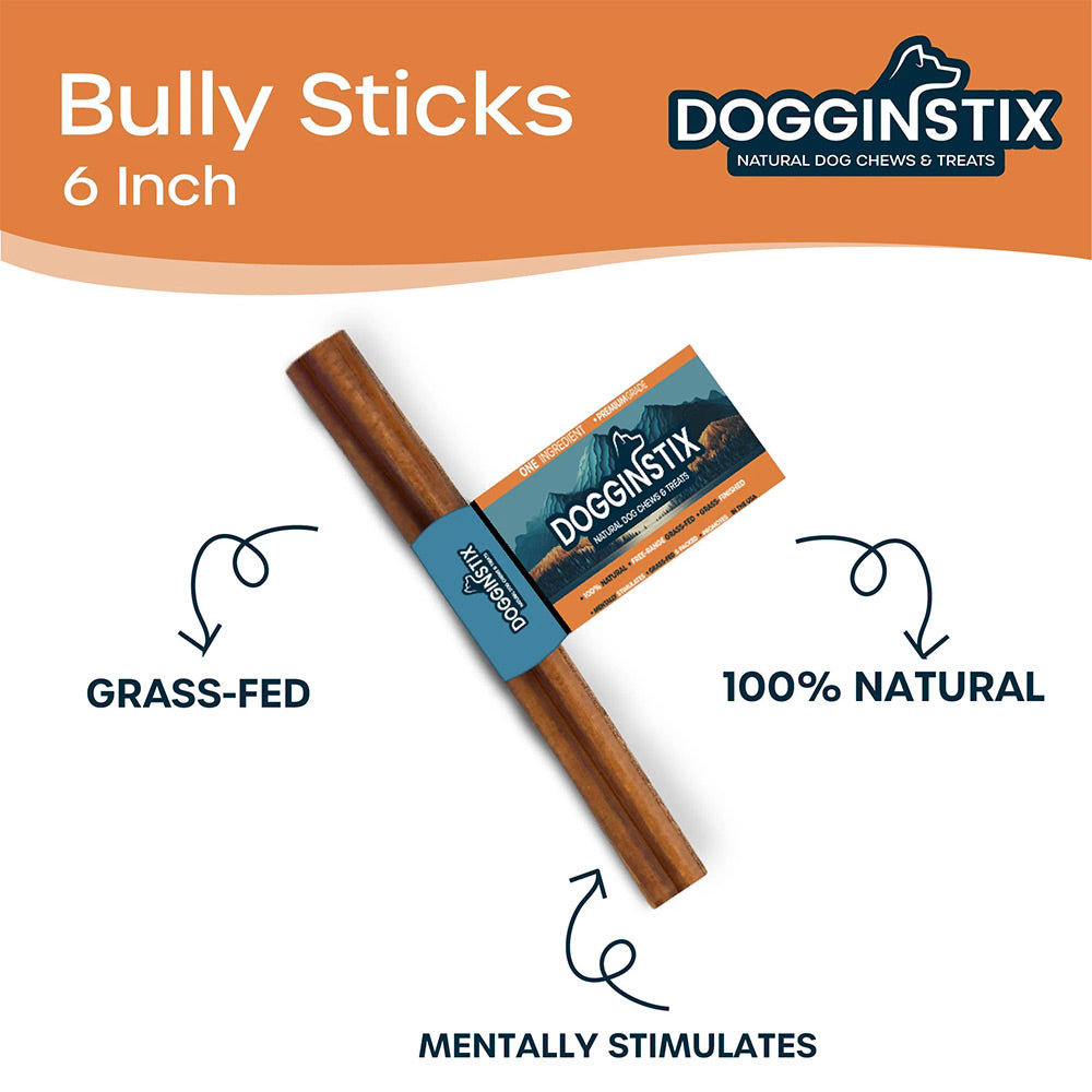 Dogginstix Natural Dog Chews Bullystick - 12 inch Beef Standard