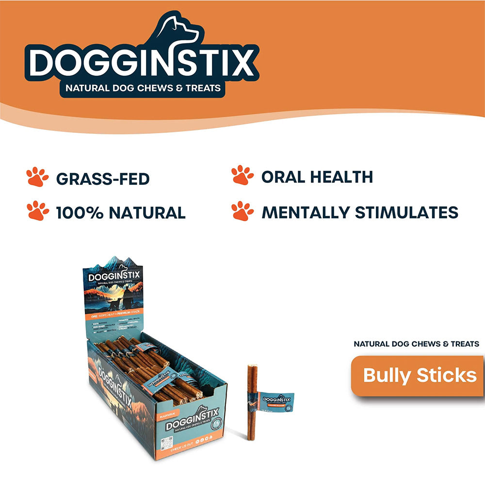 Dogginstix Natural Dog Chews Bullystick - 12 inch Beef Standard
