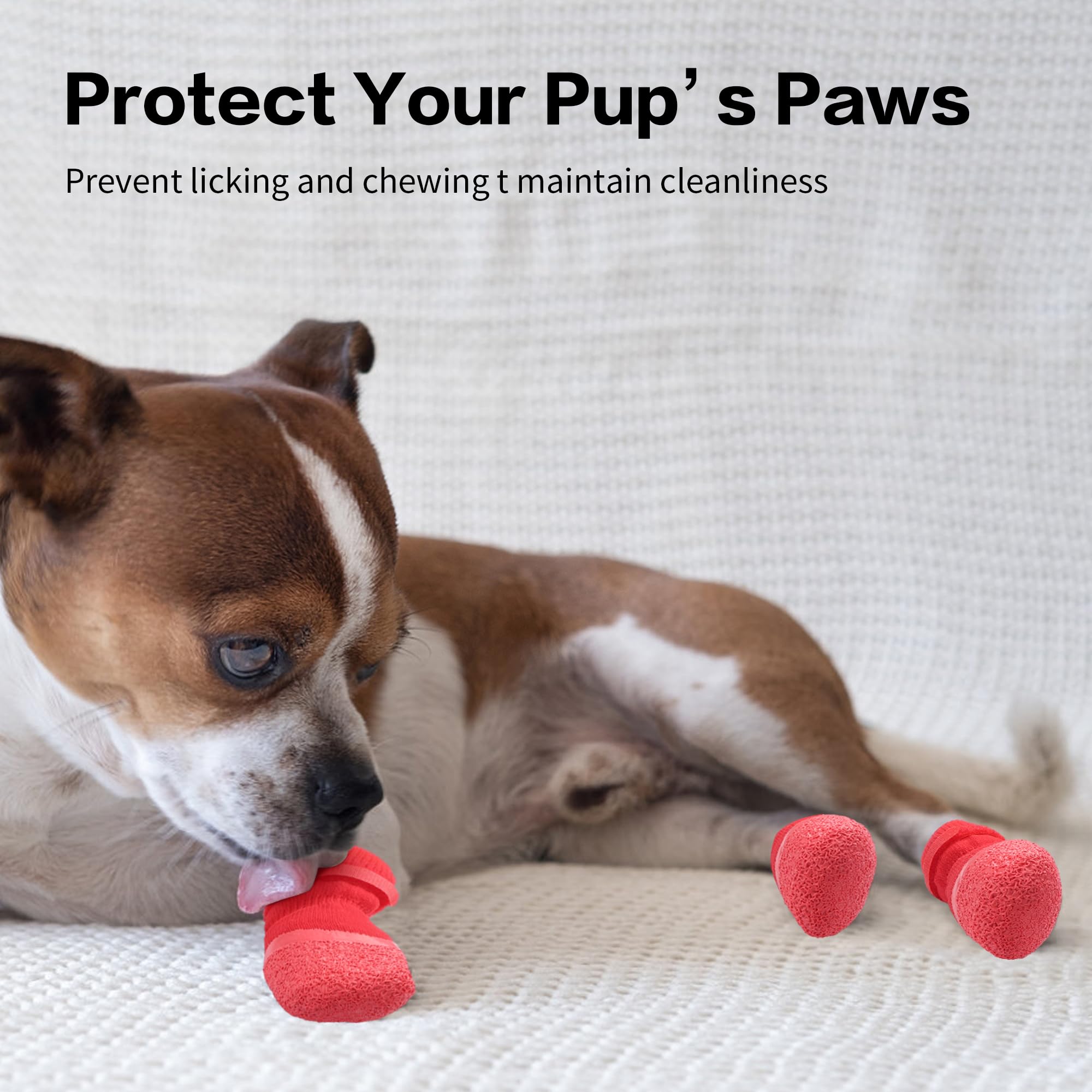 Pet Zen Anti-Slip Dog Socks -4Pcs