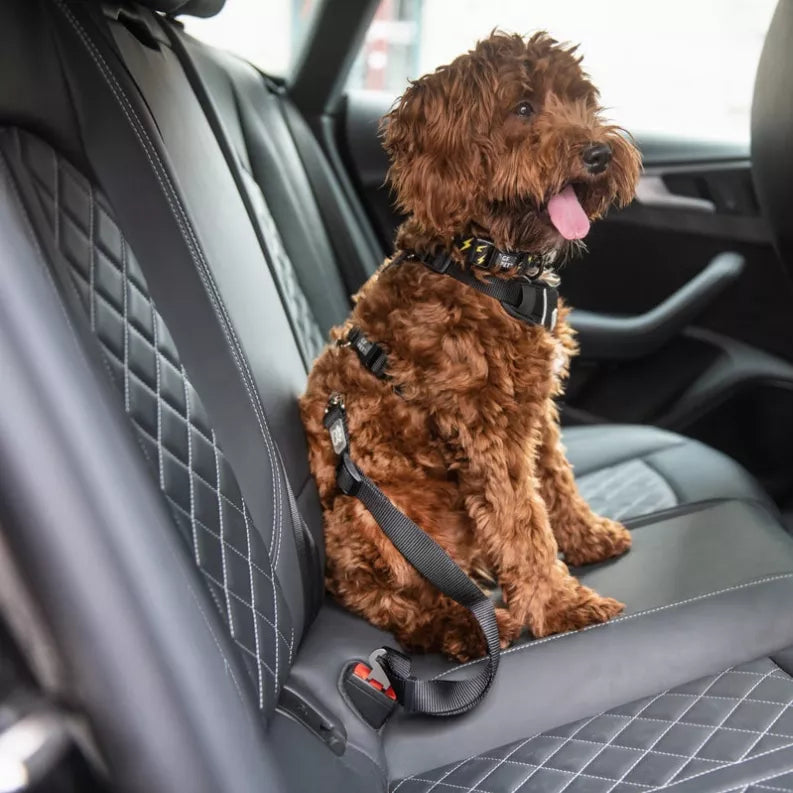 GF Pet Pet Seat Belt Tether