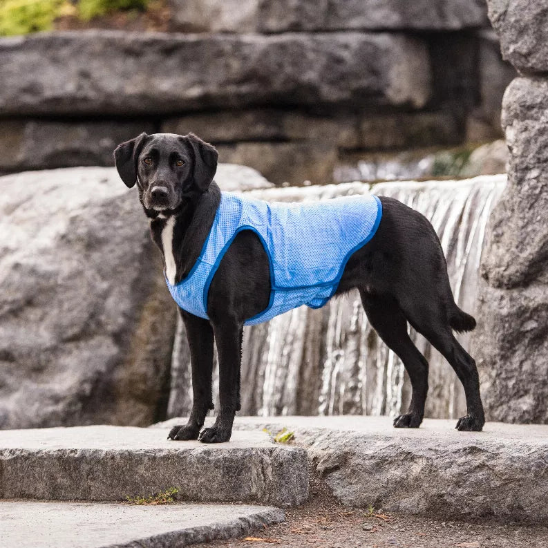 GF Pet Ice Vest