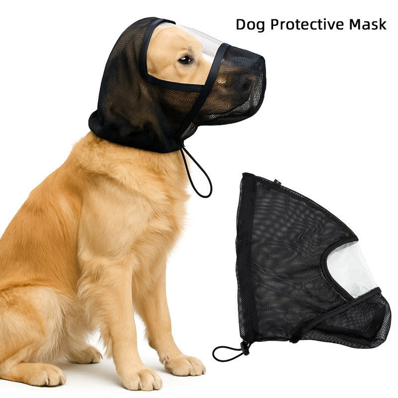 A golden retriever wearing a black mesh dog protective mask with a clear face opening, shown alongside the mask laid flat on a white background. Text in the top right reads 'Dog Protective Mask'.