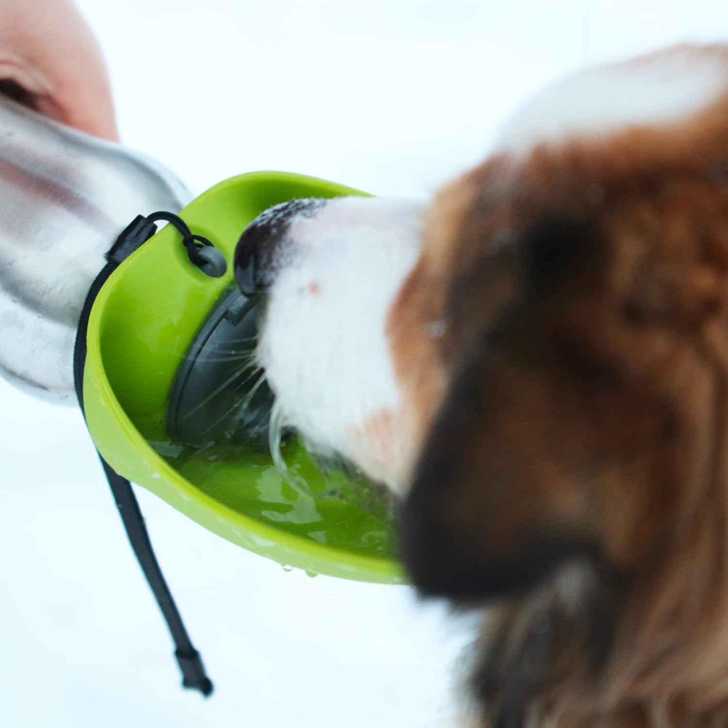 Messy Mutts Dog Travel Water Bottle