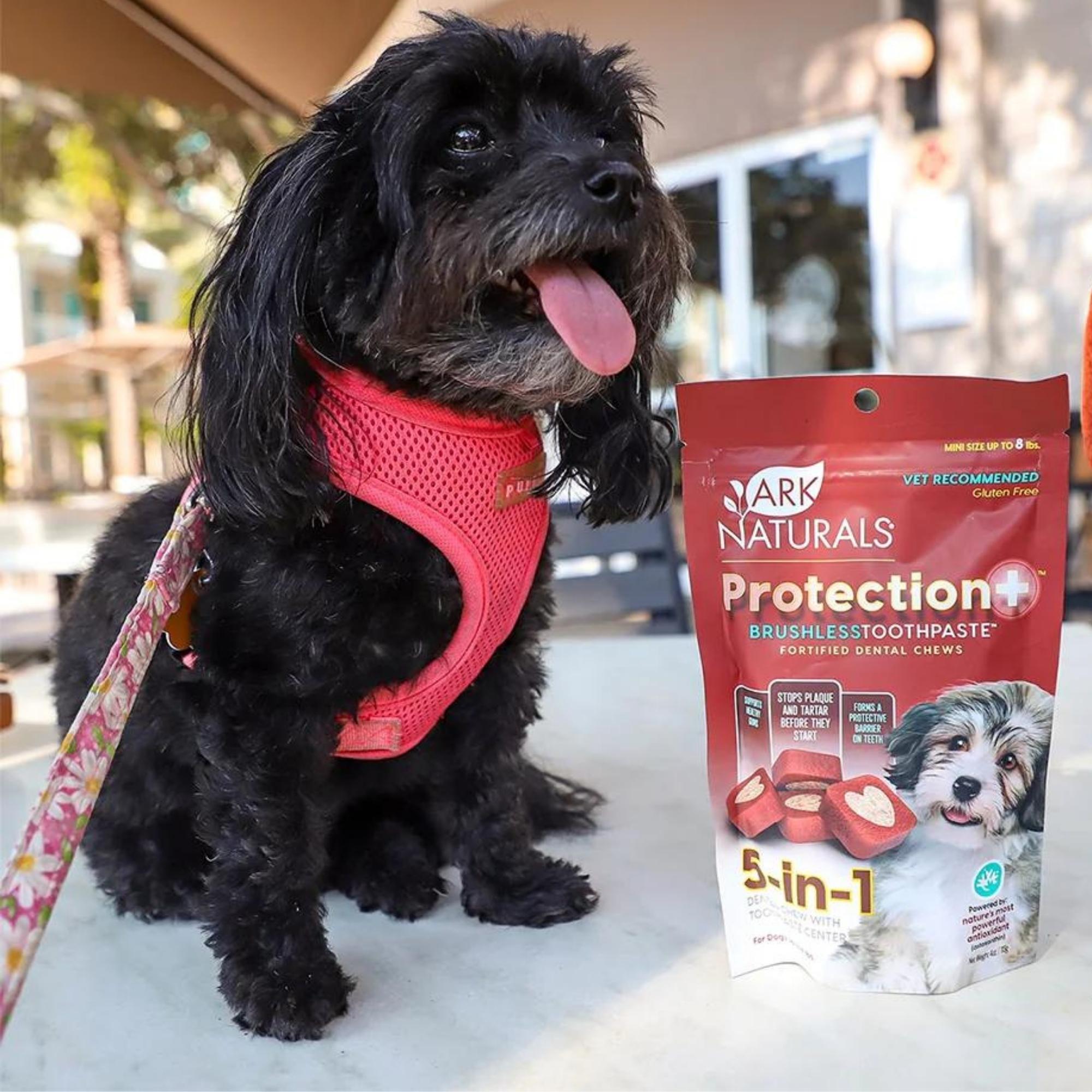 Ark Naturals Protection+ Pasta de dientes 5 en 1