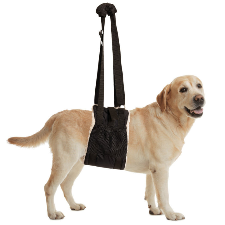 ZenPet Buddy Lift Canine Support and Rehabilitation Sling