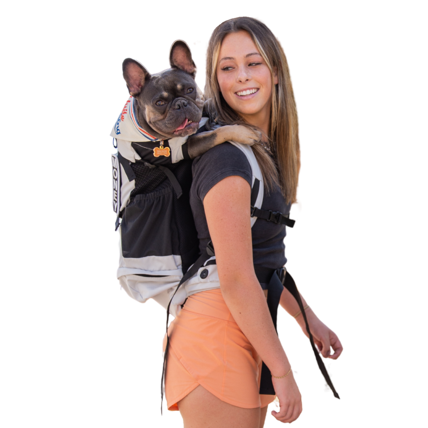 K9 Sport Sack Knavigate, Advanced Dog Carrier with Internal Frame & Hip Belt