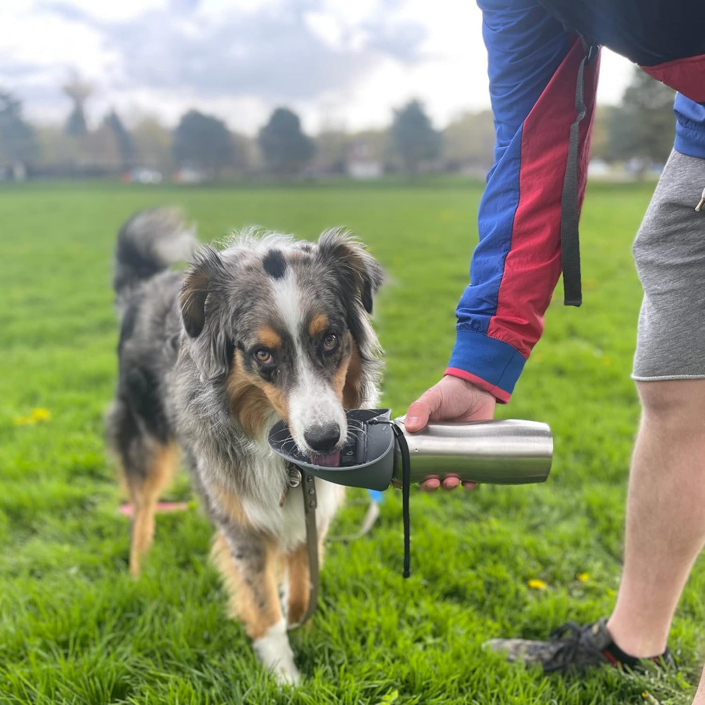 Messy Mutts Dog Travel Water Bottle
