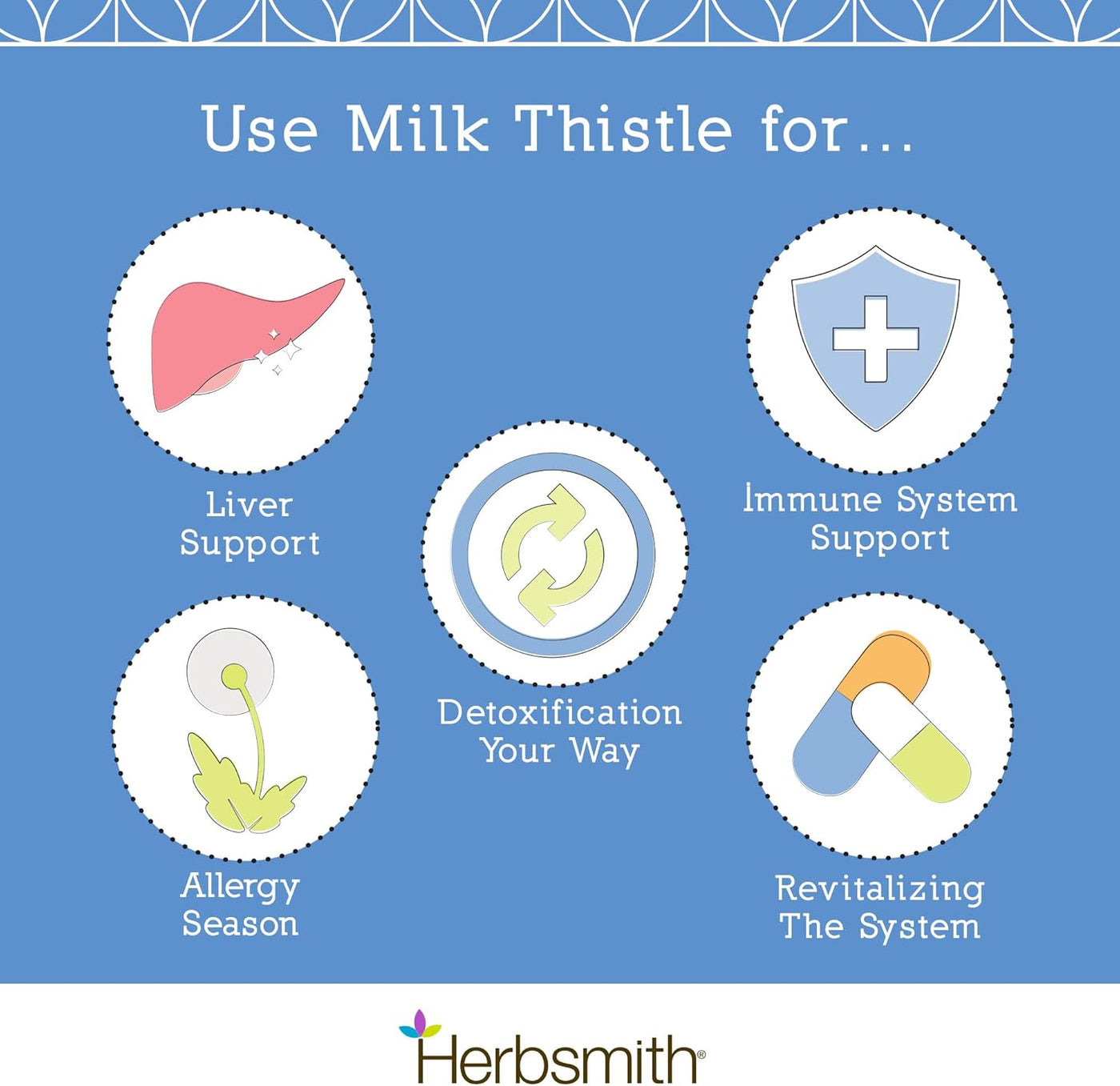 Milk Thistle - Liver Support for Dogs
