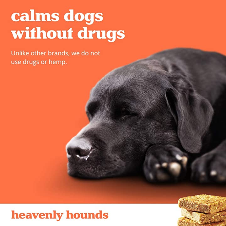Heavenly Hounds Relaxation Squares