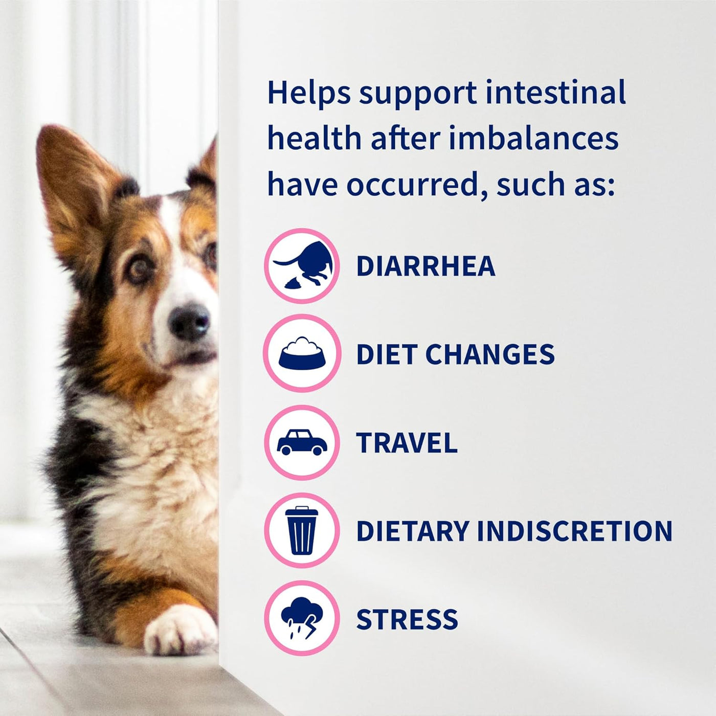 Proviable DC Probiotic