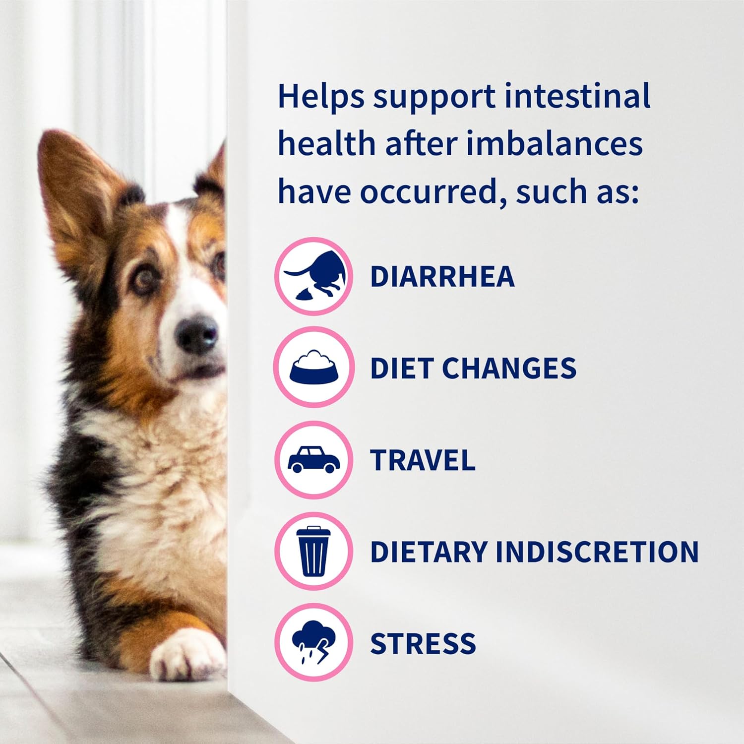 Proviable DC Probiotic