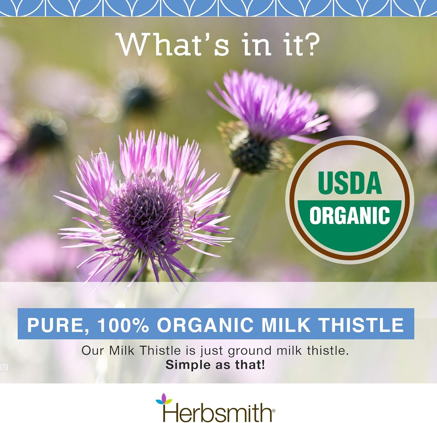 Milk Thistle - Liver Support for Dogs