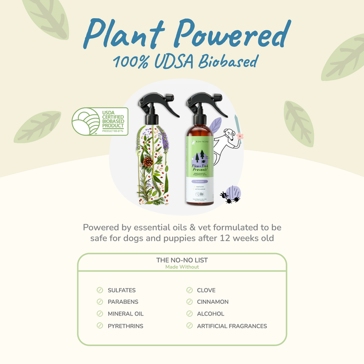 Kin+Kind Plant-Based Flea and Tick Protect Spray