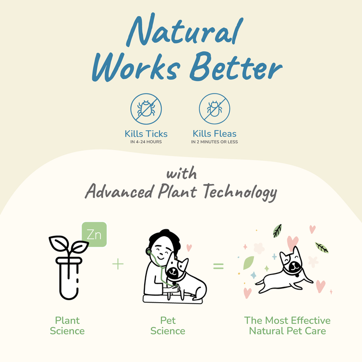 Kin+Kind Plant-Based Flea and Tick Protect Spray