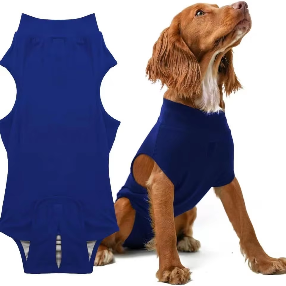 Dog Surgical Recovery Suit