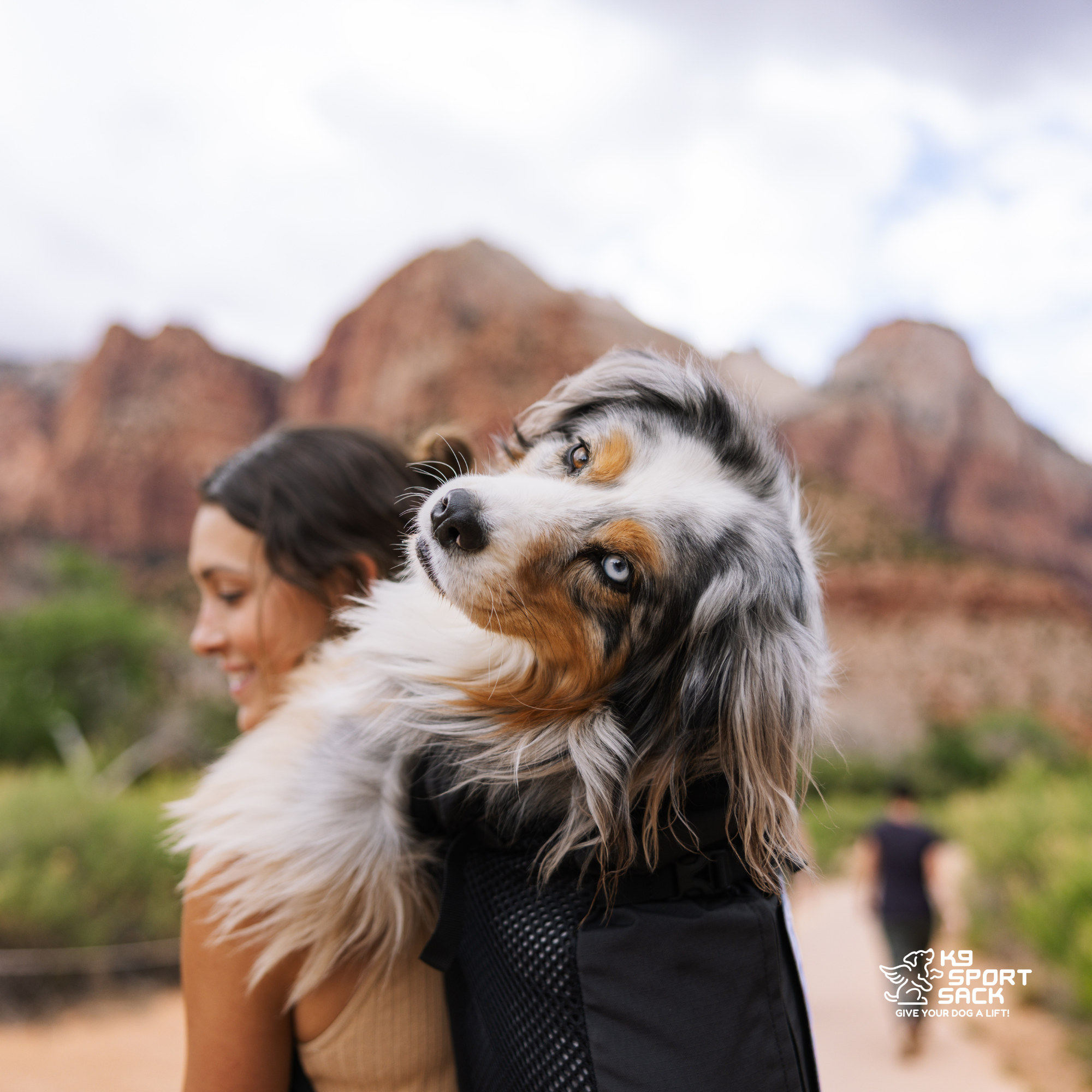 K9 Sport Sack Knavigate, Advanced Dog Carrier with Internal Frame & Hip Belt