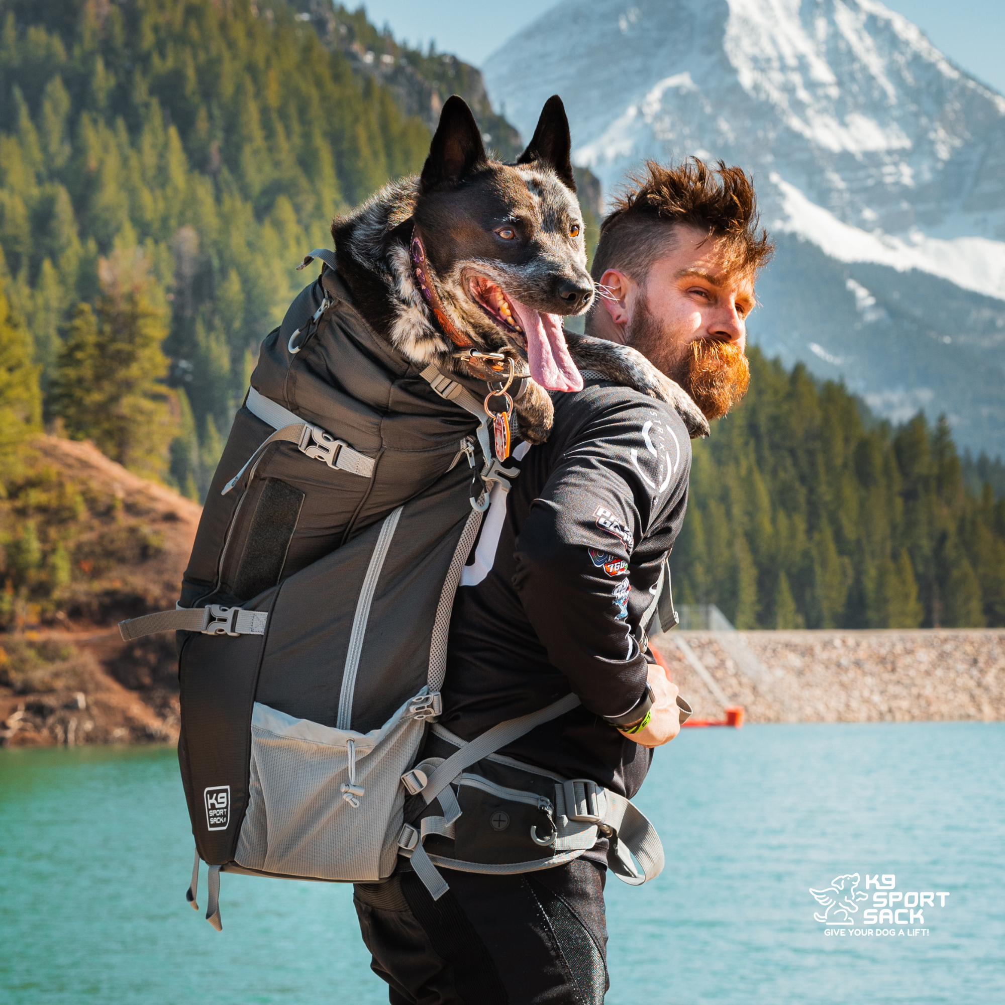 K9 Sport Sack Kolossus, Big Dog Carrier & Backpacking Pack