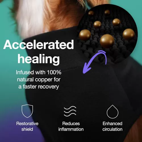 Dog Surgical Recovery Suit