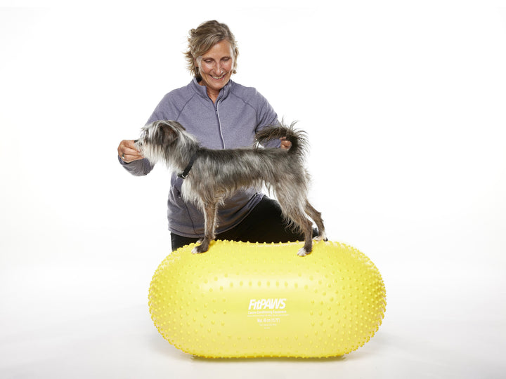 FitPAWS® TRAX™ Balance Peanut for Dogs -Multiple Sizes
