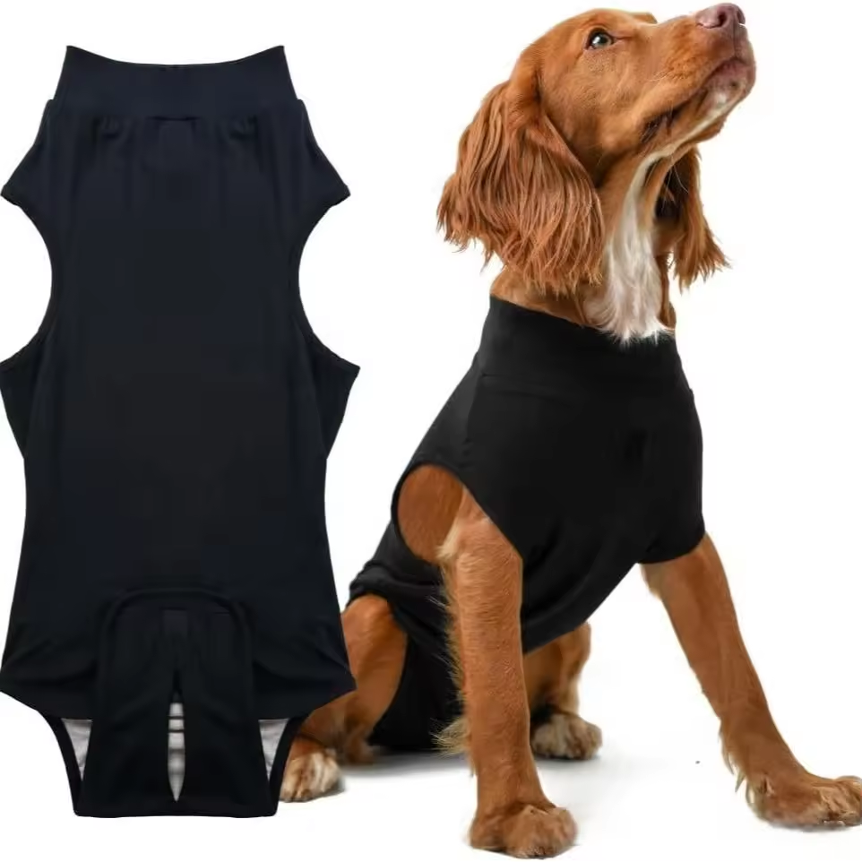 Dog Surgical Recovery Suit