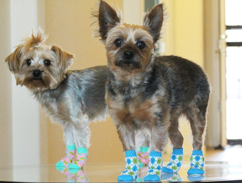 Doggie Design Non-Skid Dog Socks