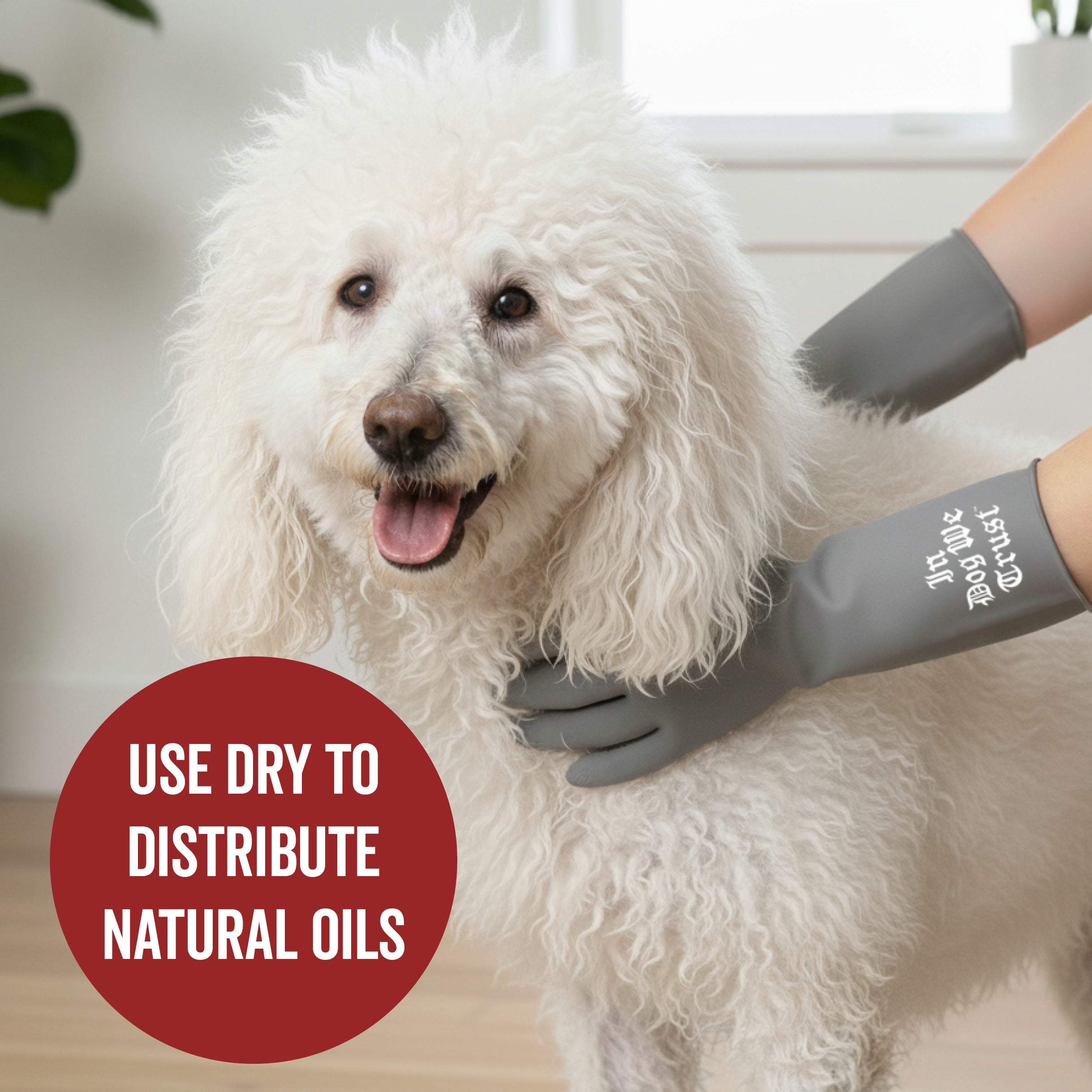 PRIDE+GROOM The Scrubber Gloves