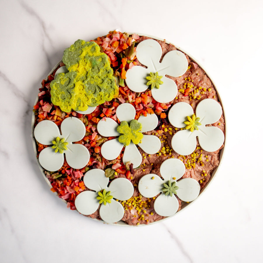 FURLOU Snuffle Mat Flowers