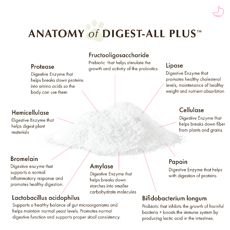 Diagram of 'Anatomy of Digest-All Plus' with digestive enzymes and probiotics.