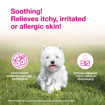 Douxo S3 Calm Shampoo