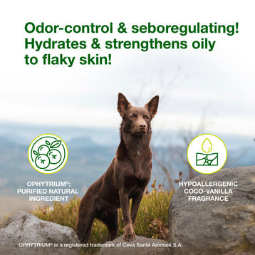 Douxo S3 SEB Shampoo - Relief for Seborrhea (Oily to Flaky Skin)