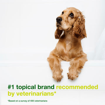 Douxo S3 SEB Shampoo - Relief for Seborrhea (Oily to Flaky Skin)