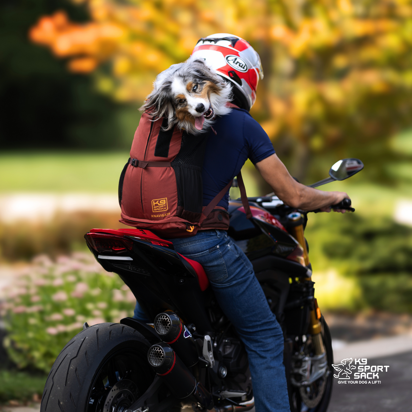 K9 Sport Sack Knavigate, Advanced Dog Carrier with Internal Frame & Hip Belt