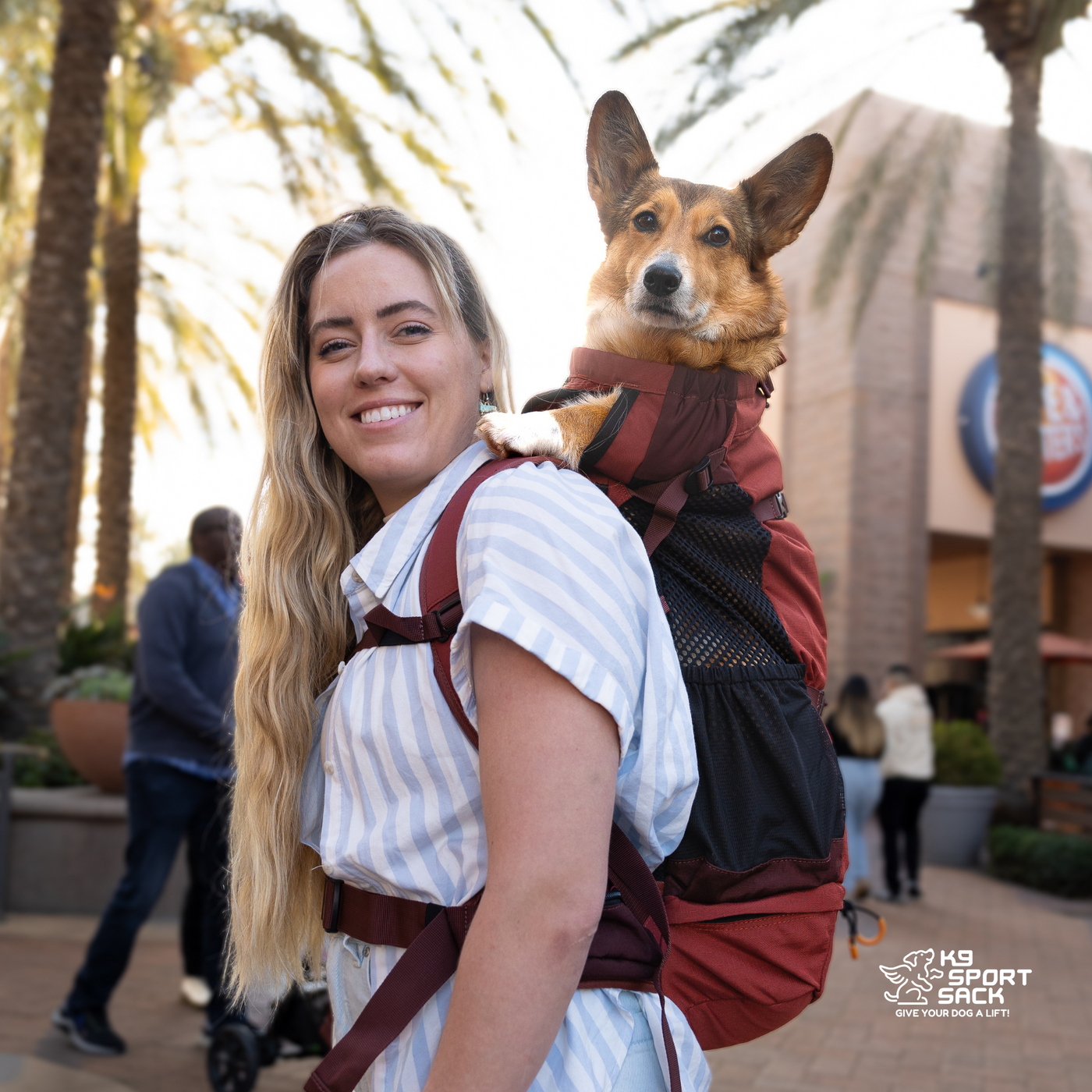 K9 Sport Sack Knavigate, Advanced Dog Carrier with Internal Frame & Hip Belt