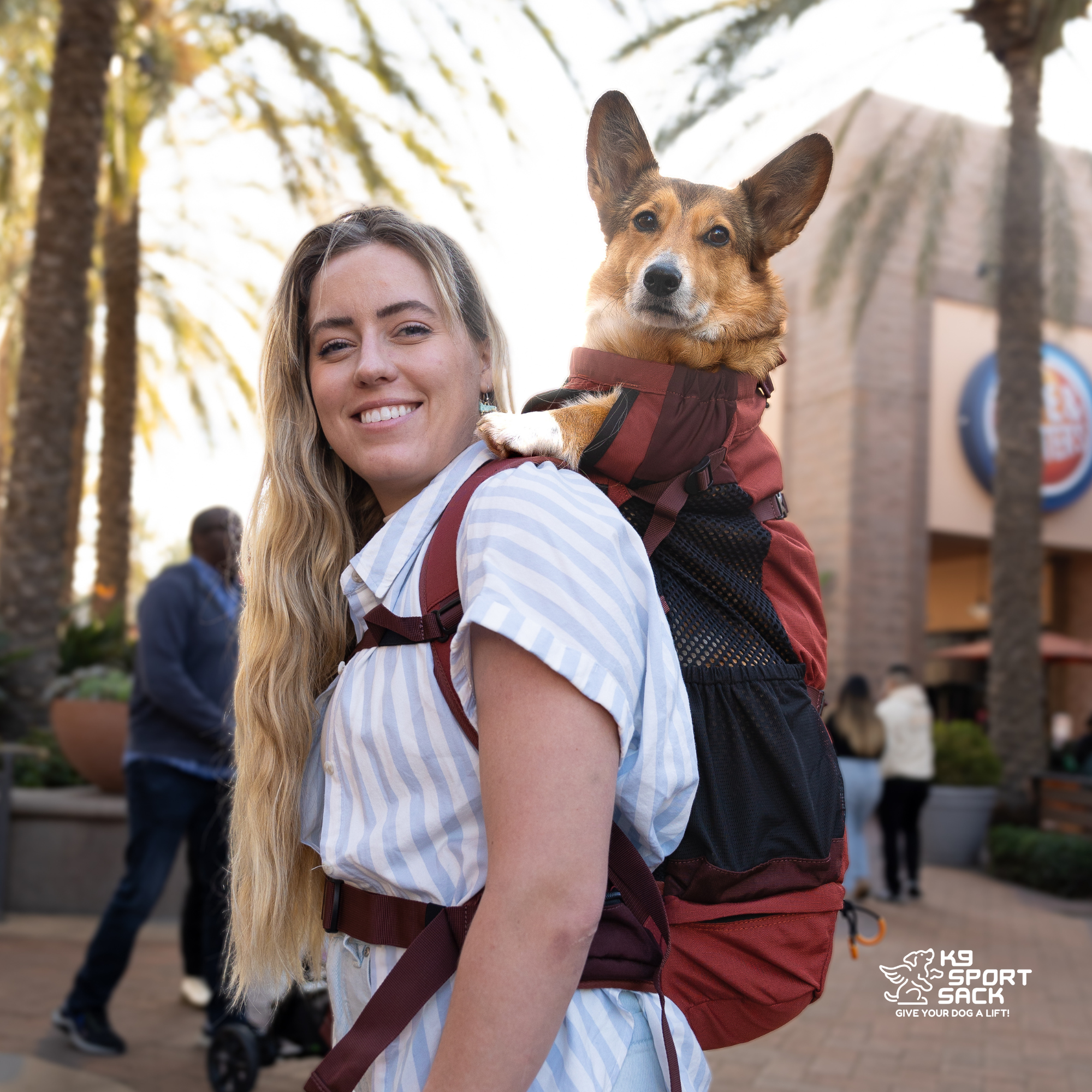 K9 Sport Sack Knavigate, Advanced Dog Carrier with Internal Frame & Hip Belt