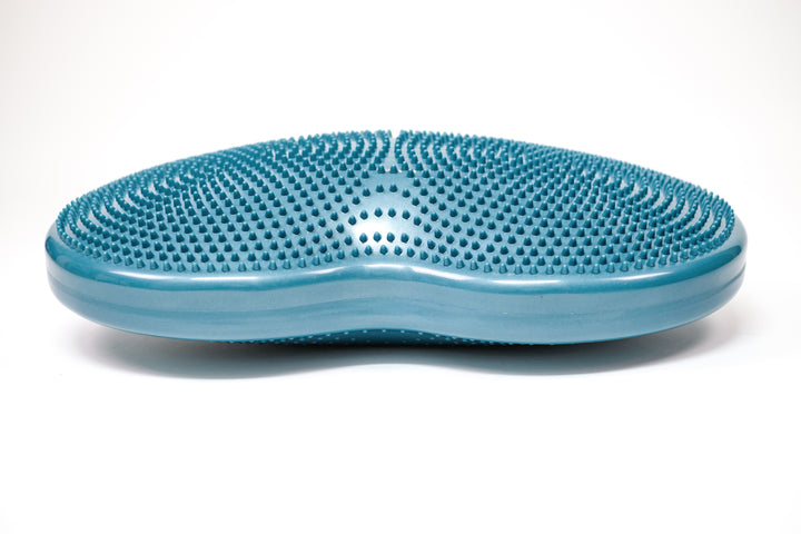 FitPaws Duo Disc - Entrenador de equilibrio para perros