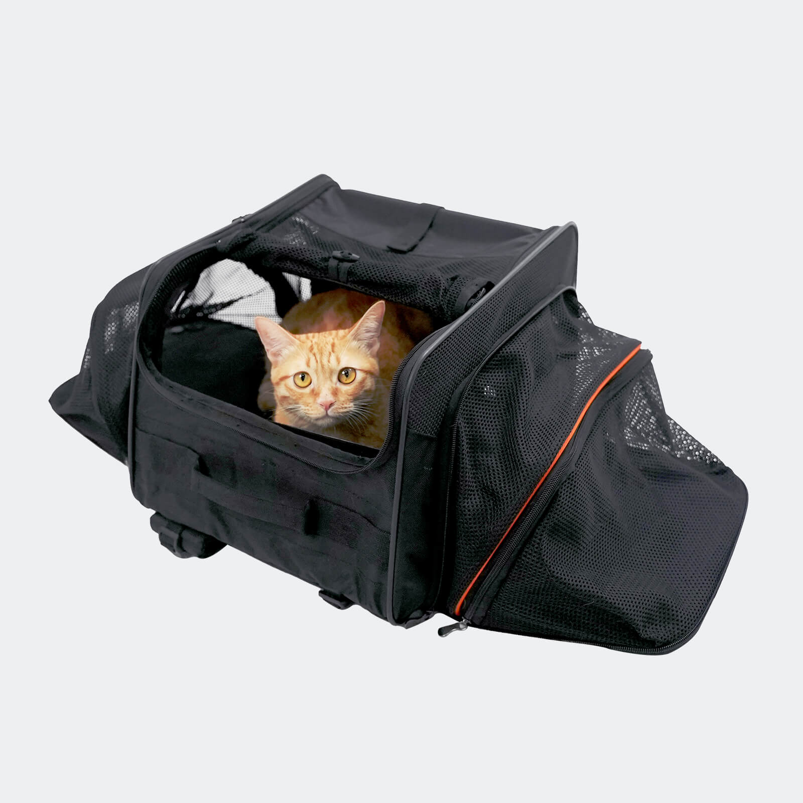 JetPaw Expandable In-Cabin Pet Carrier Backpack – Airline-Approved Travel Backpack for Dogs & Cats