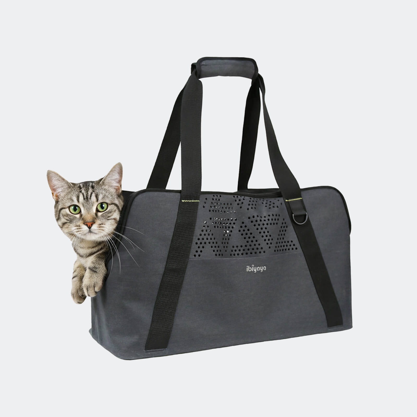 Dachshund Breezy Wanderer Fur-Free Pet Tote Bag