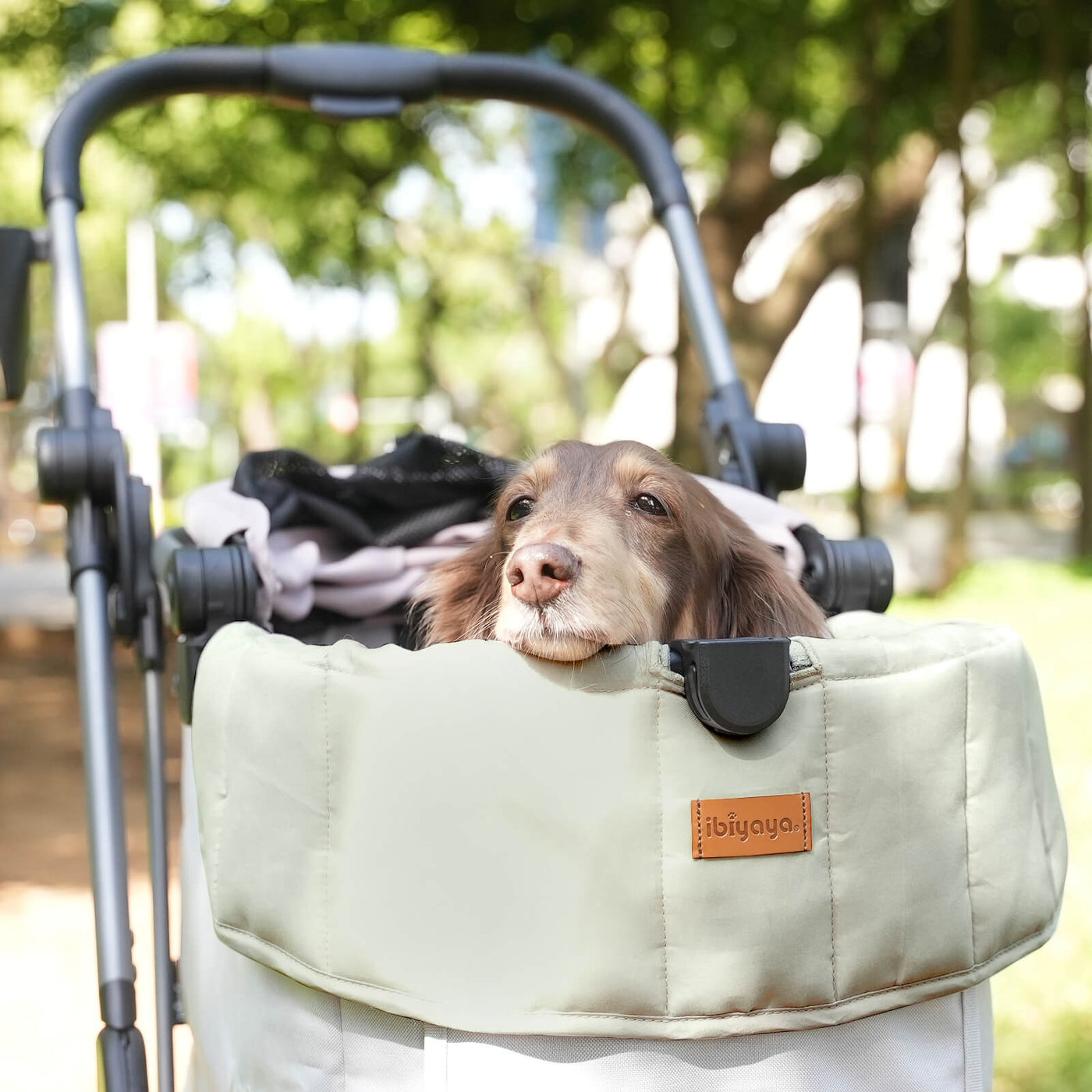 All-Season Pet Stroller Cushion Set - Medium