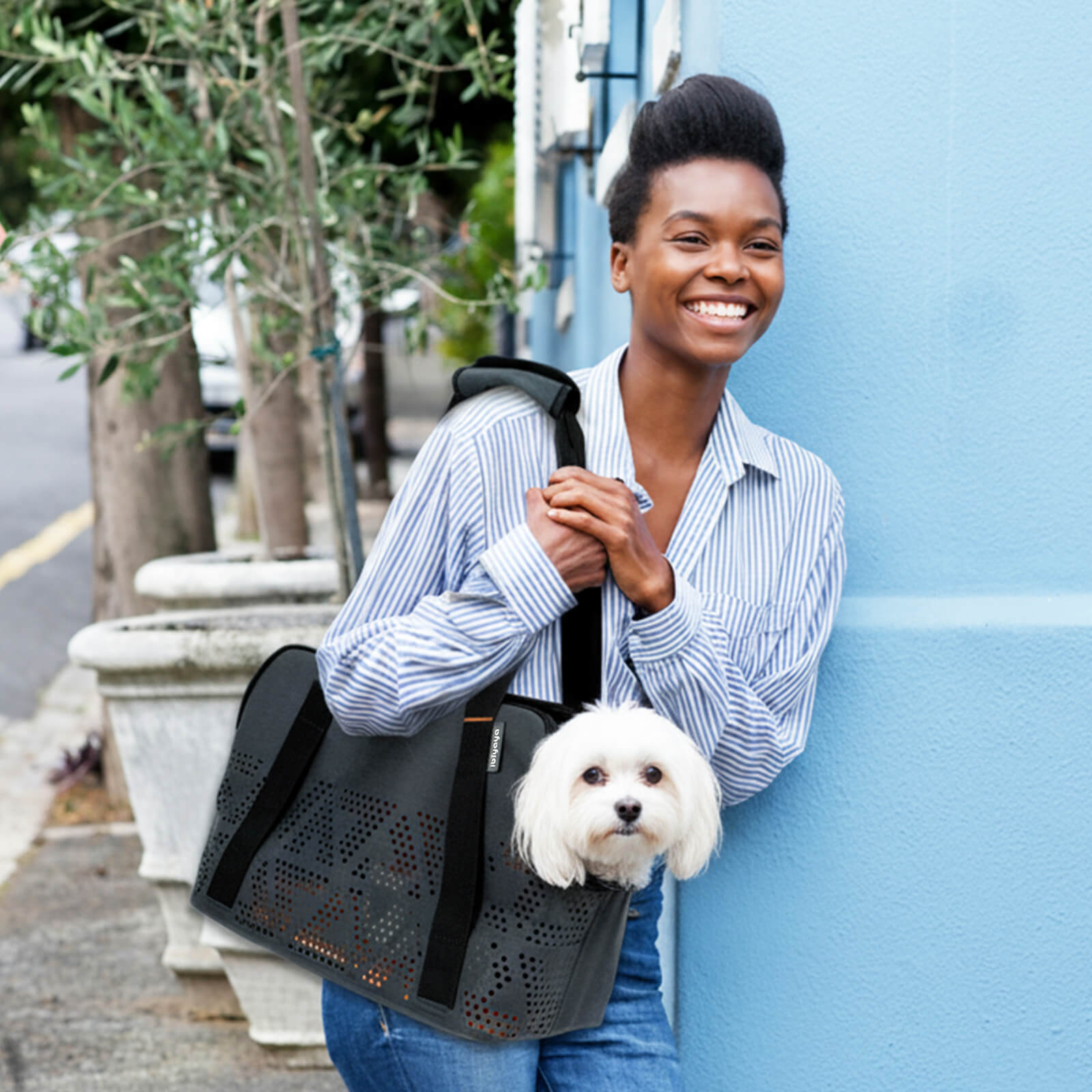 Breezy Wanderer Fur-Free Pet Tote Bag
