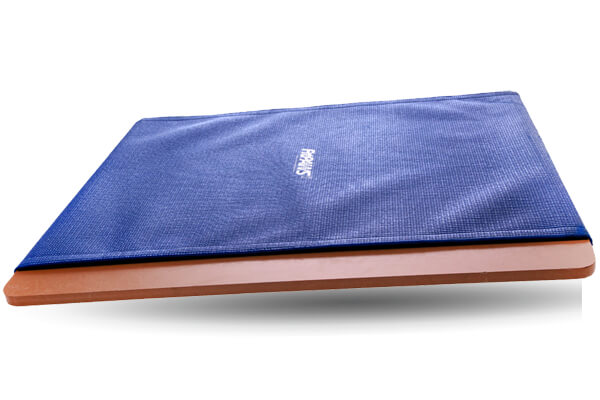 FitPAWS® Rocker Board for Dogs - Giant