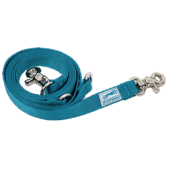 Blue dog leash with silver clips on a white background