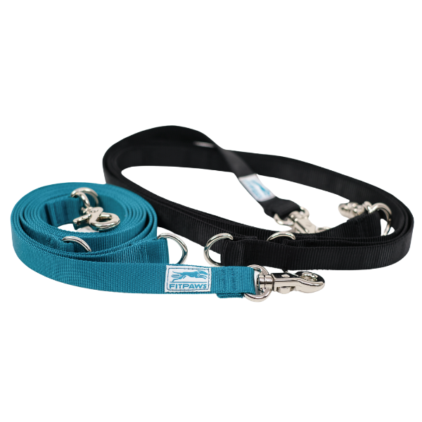 Two dog leashes, one blue and one black, with metal clips on a white background.