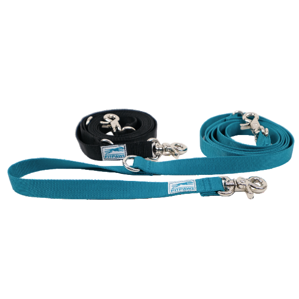 Two dog leashes, one black and one blue, with metal clips on a white background.