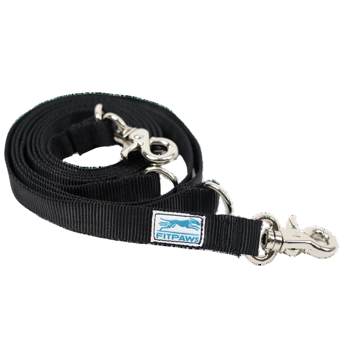 Black dog leash with silver clips and FitPaws logo on a white background