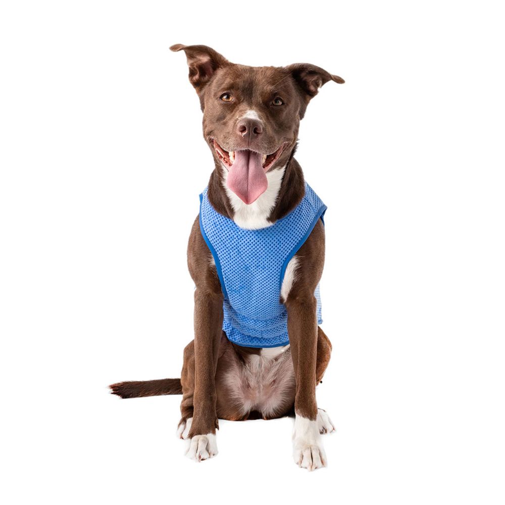 GF Pet Ice Vest