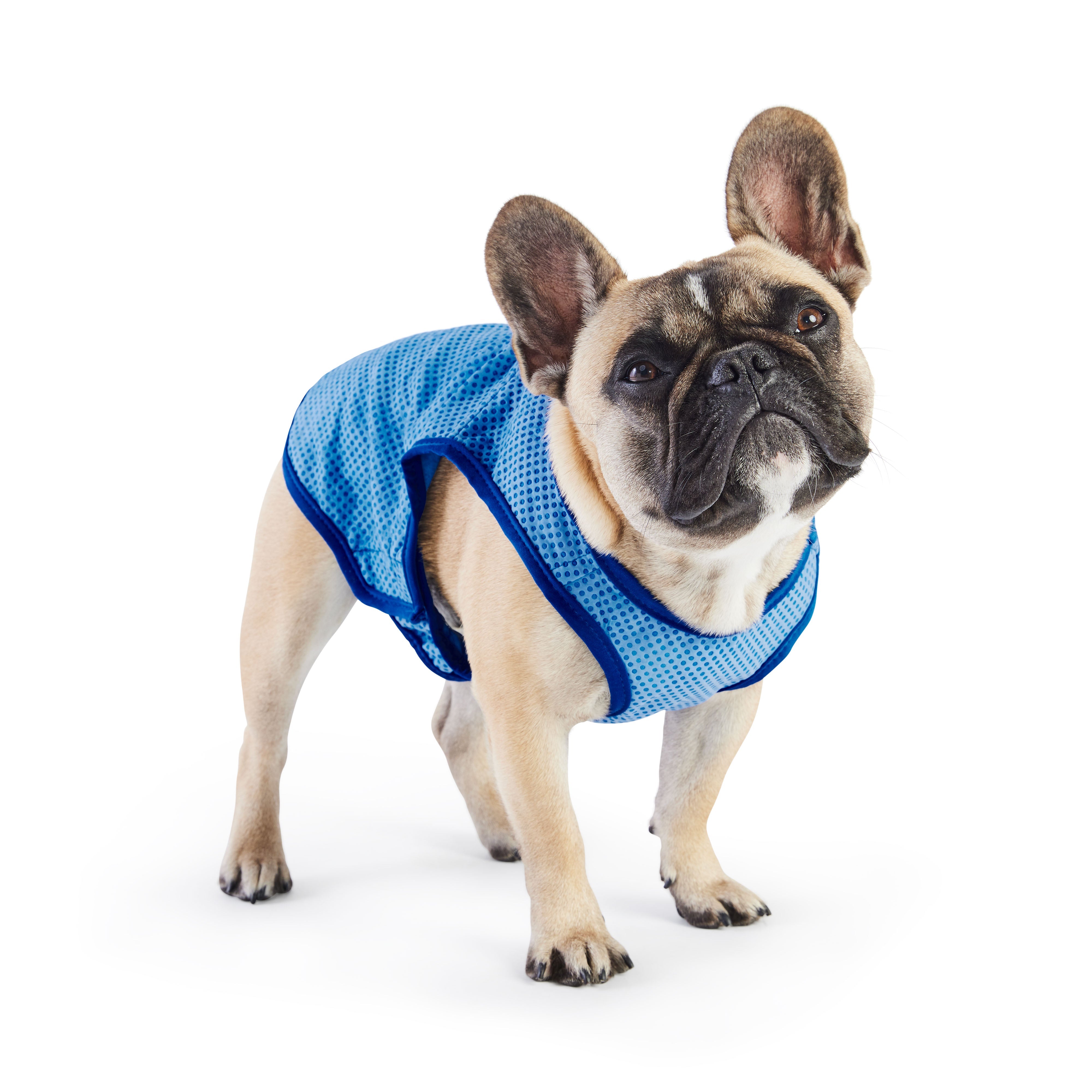 GF Pet Ice Vest
