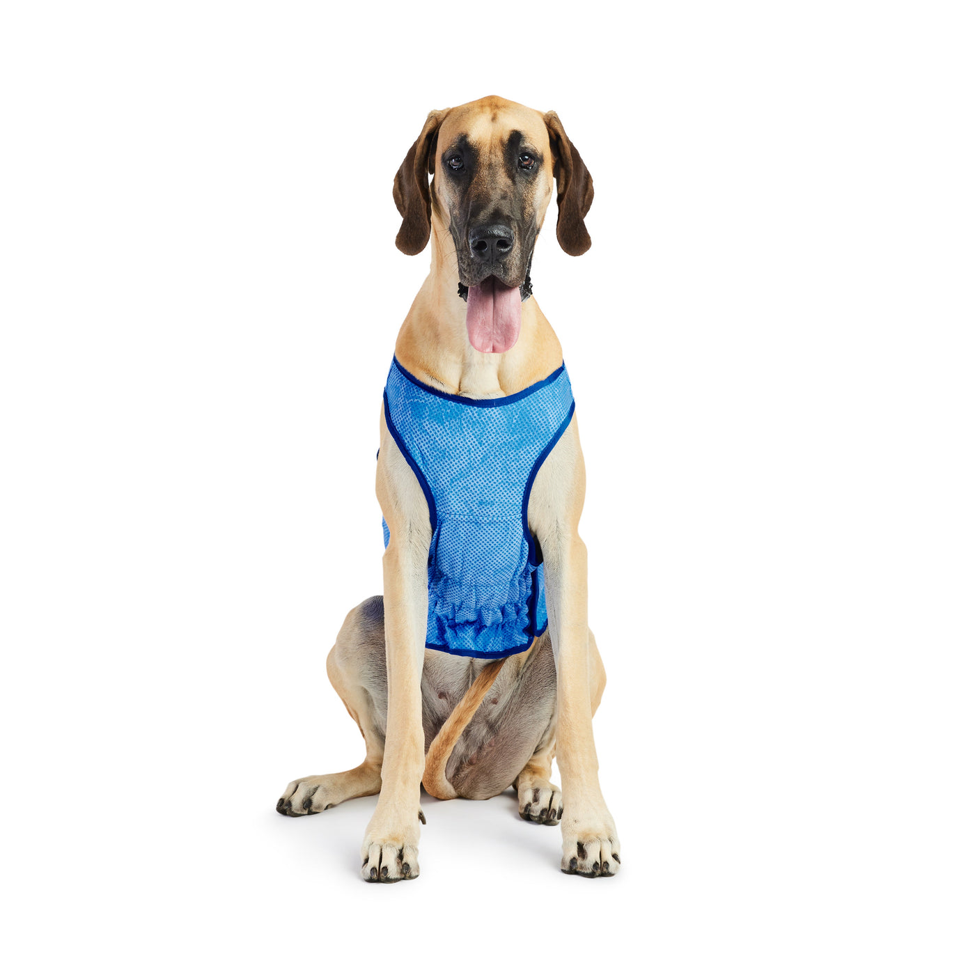 GF Pet Ice Vest